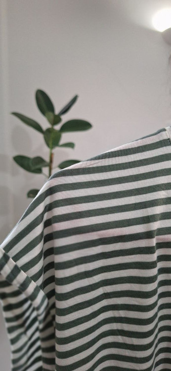 تیشرت راه راه جنس نخ پنبه ای فری سایز رنگ سبز و سفید کار ترک